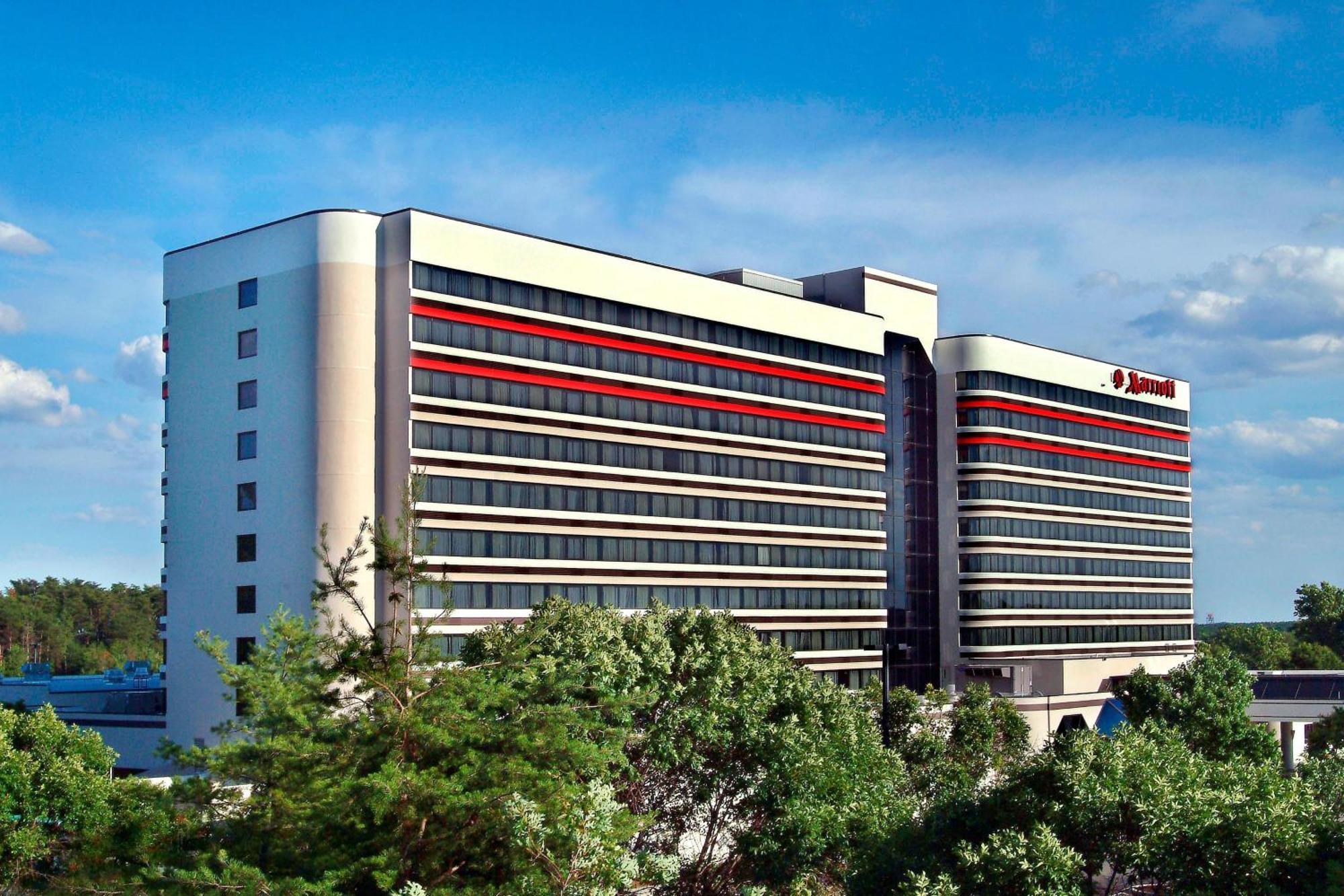 BWI Airport Marriott Hotel Linthicum Bagian luar foto